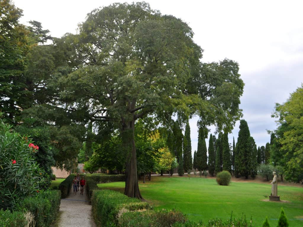 Достопримечательности Венеции-остров Сан Франческо дель Дезерто